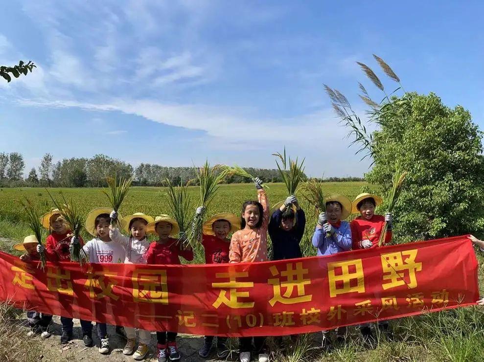 名扬天下三合局,风起云涌鑫字开什么生肖详细解答、解释与落实、构建解答解释落实
