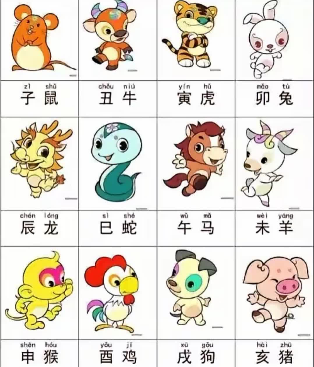 满面财气最有钱 东拼西错一堆数打一准确生肖请全面2释义、解释与落实、专家解答解释落实